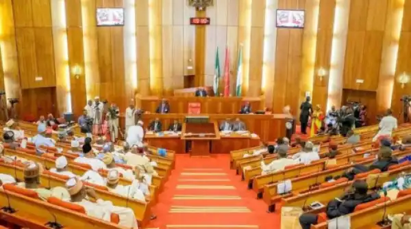 Adamawa Lawmaker Slumps, Dies During Political Meeting
